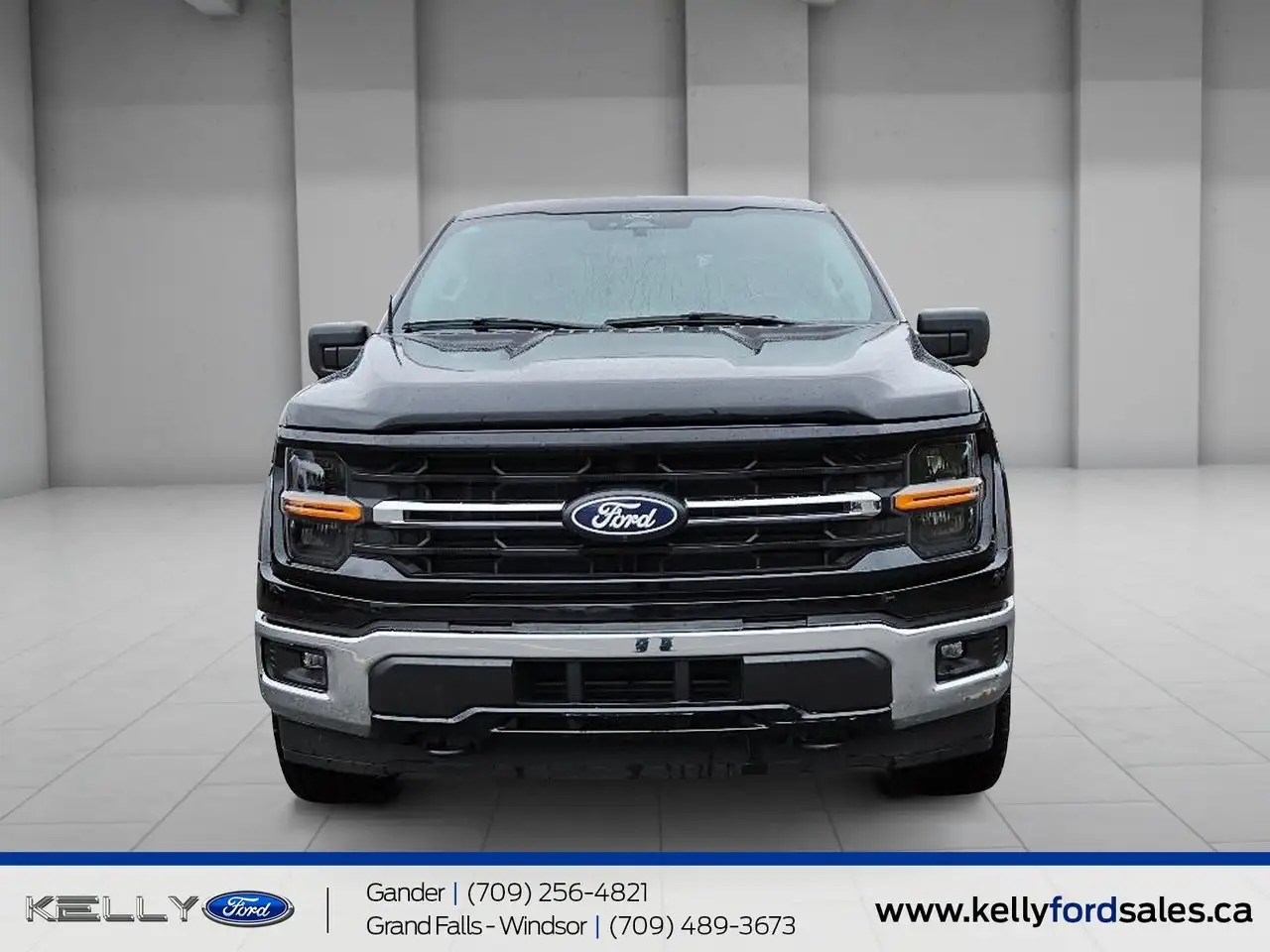 Ford F-150 - Image 2
