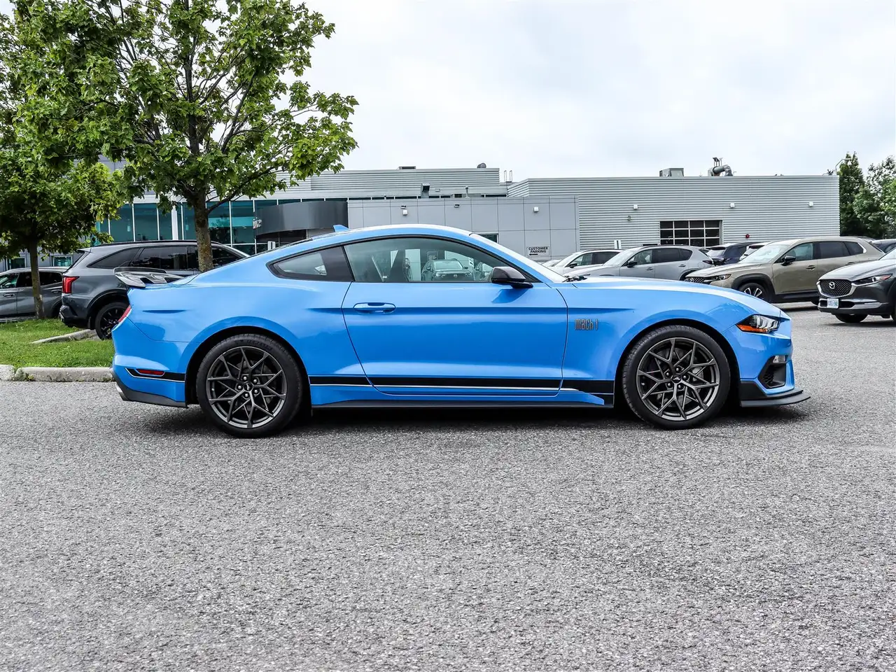 Ford Mustang - Image 3