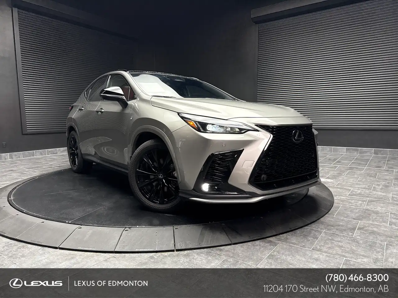 Lexus NX - Image 1