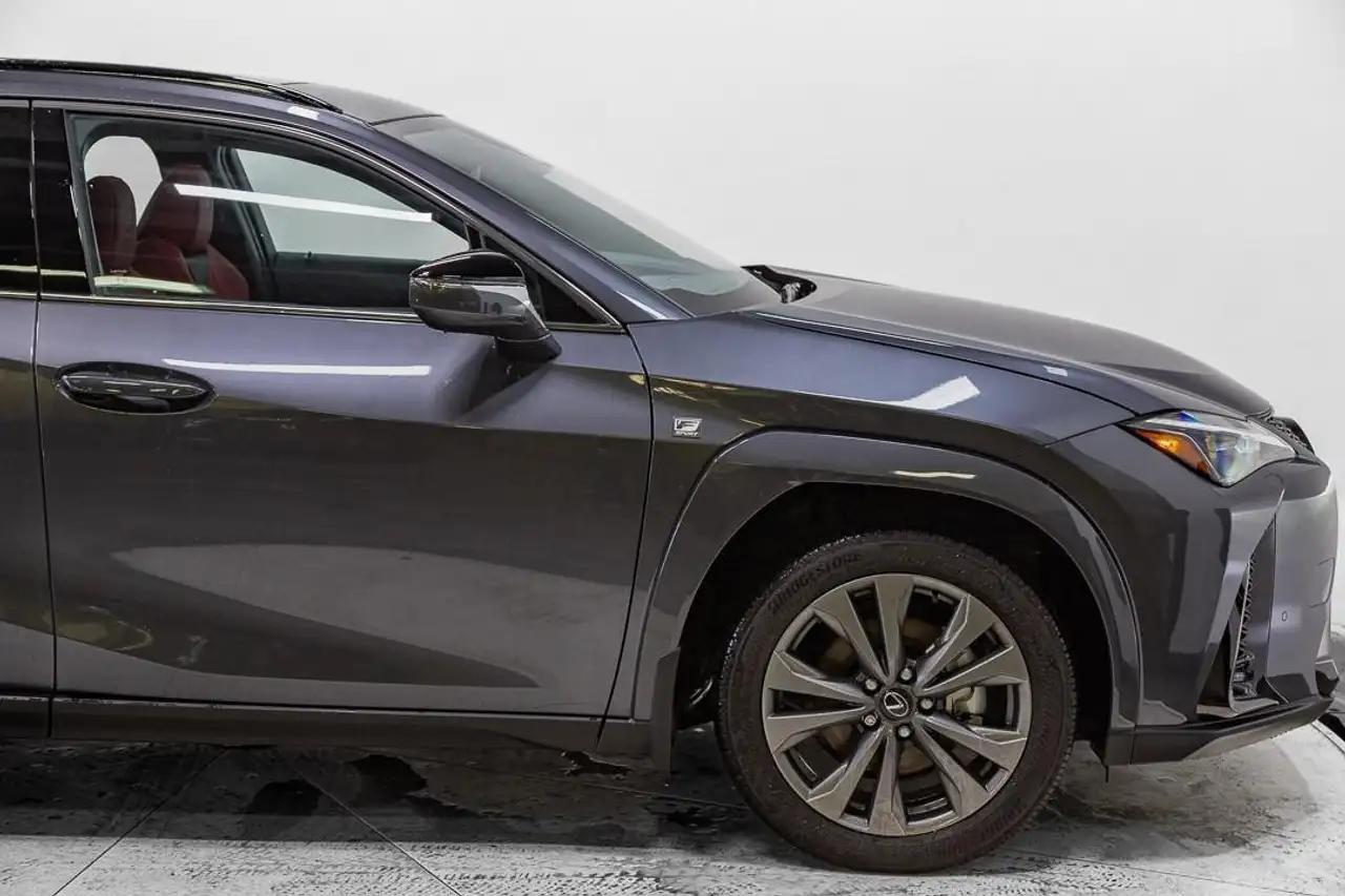 Lexus UX 300h - Image 12
