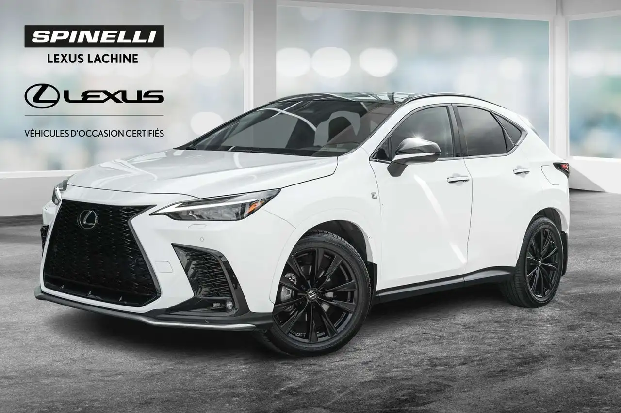 Lexus NX - Image 1