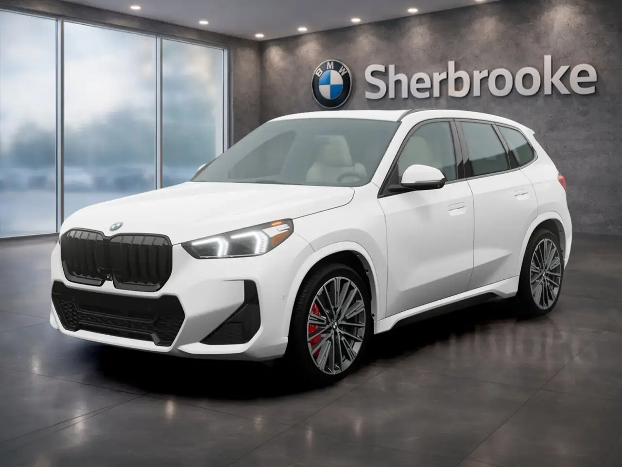 BMW X1 - Image 1