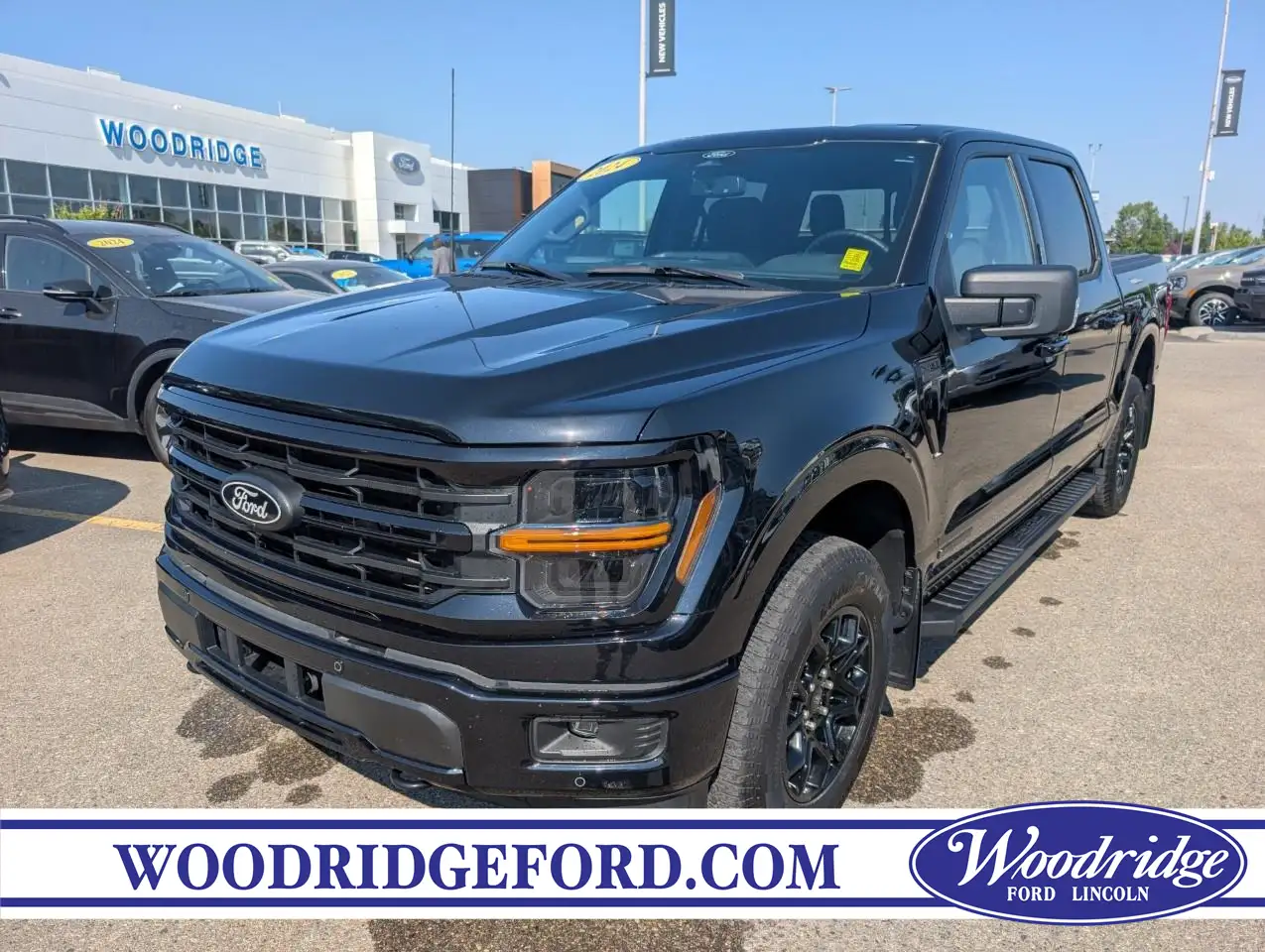 Ford F-150 - Image 1