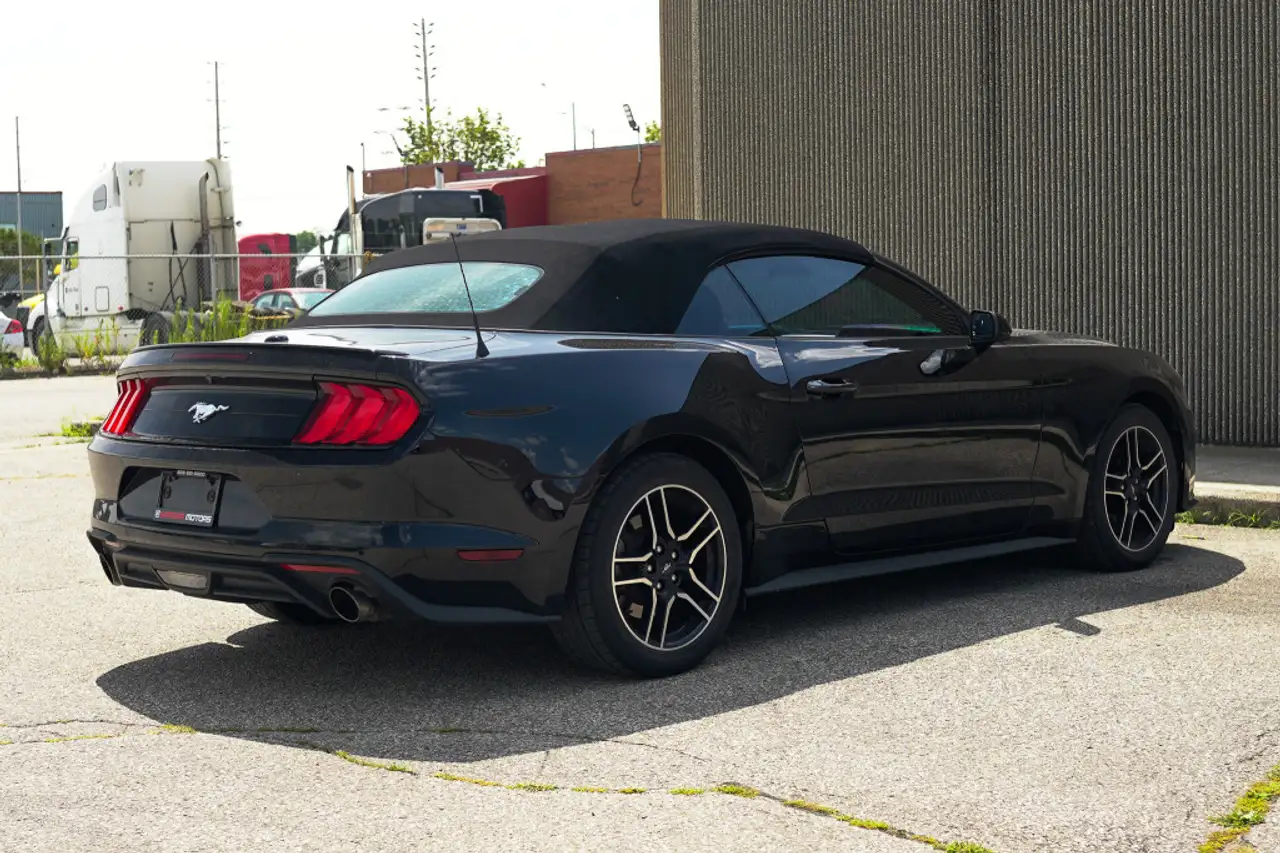 Ford Mustang - Image 13