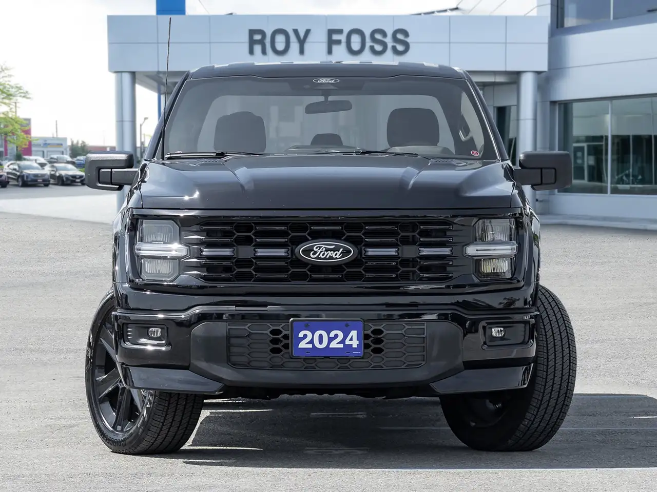 Ford F-150 - Image 2
