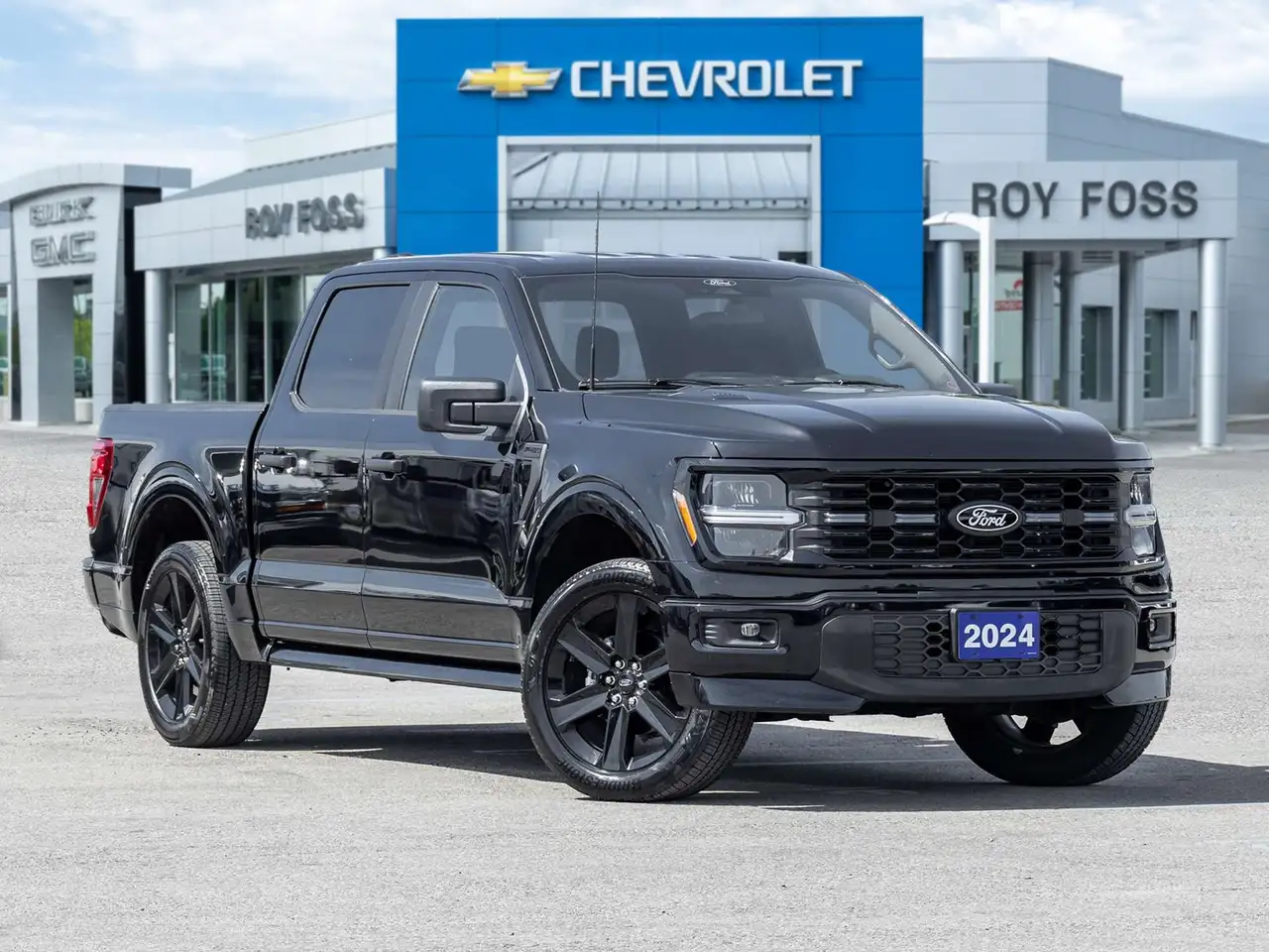 Ford F-150 - Image 1