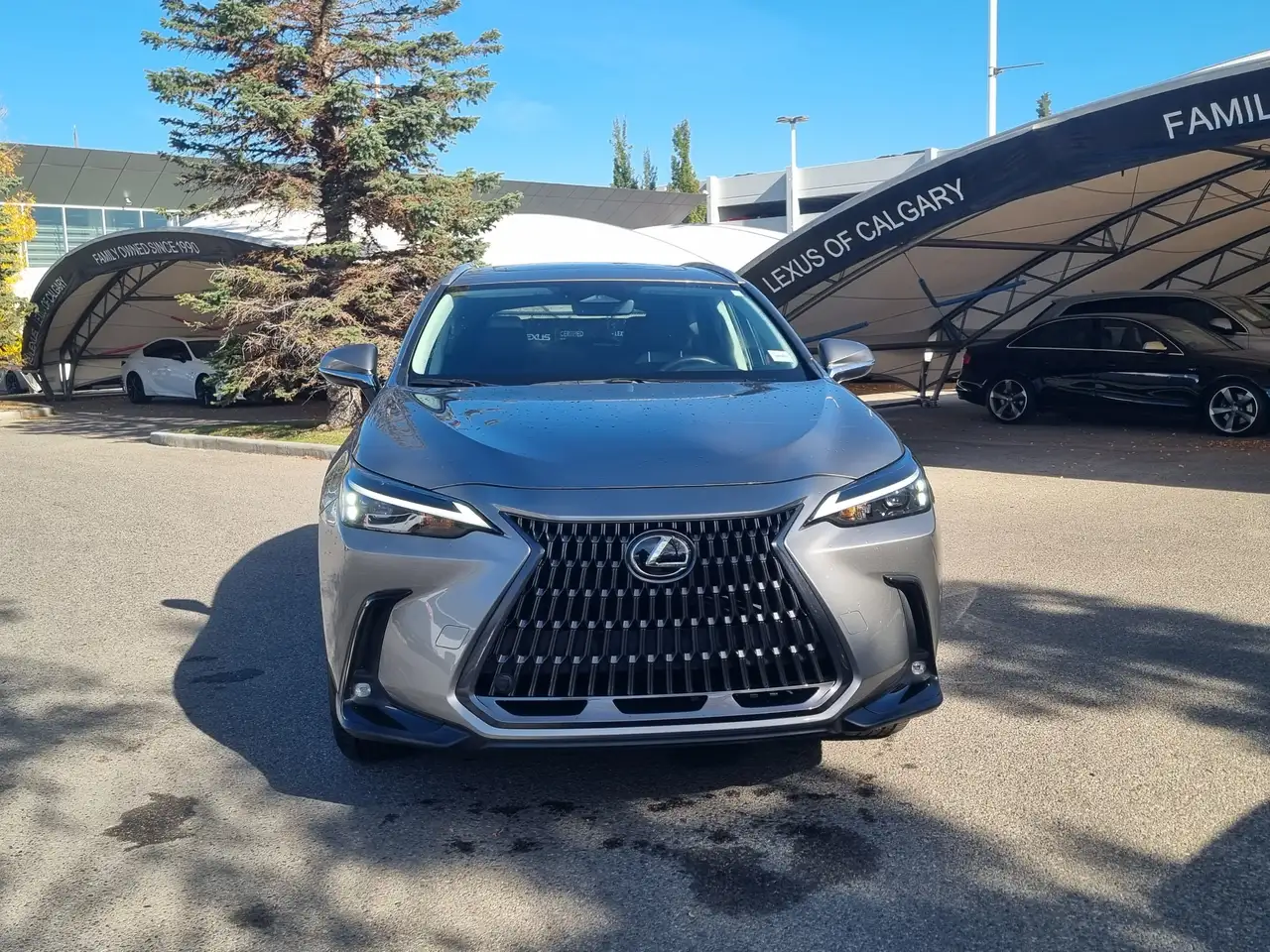 Lexus NX 350 - Image 2