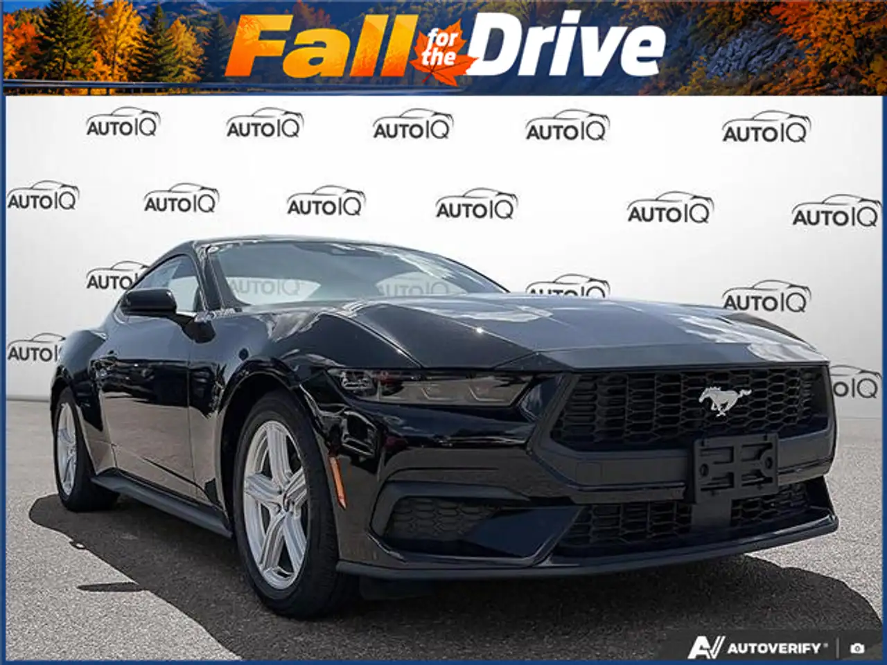 Ford Mustang - Image 1
