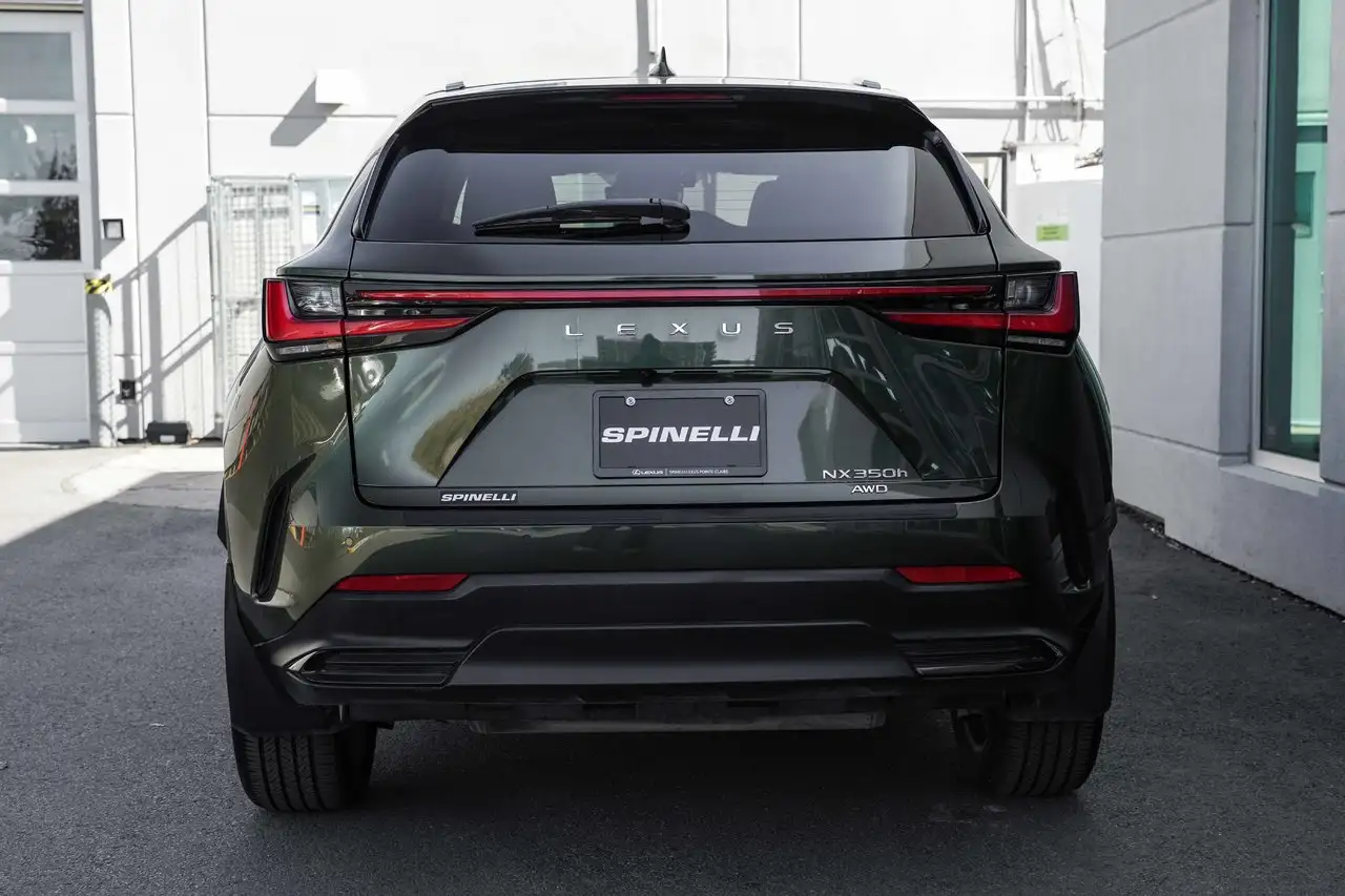 Lexus NX 350h - Image 6