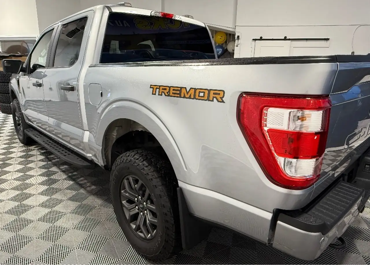 Ford F-150 - Image 3