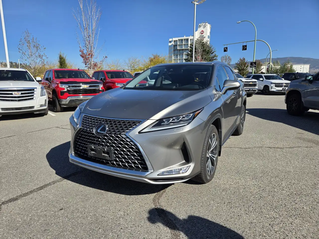 Lexus RX - Image 3