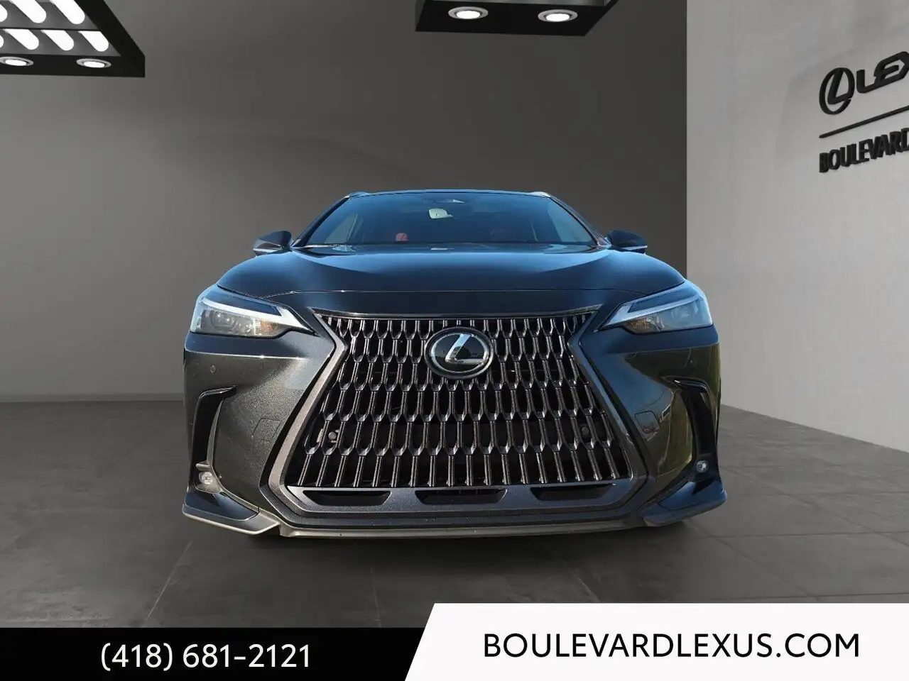 Lexus NX - Image 2