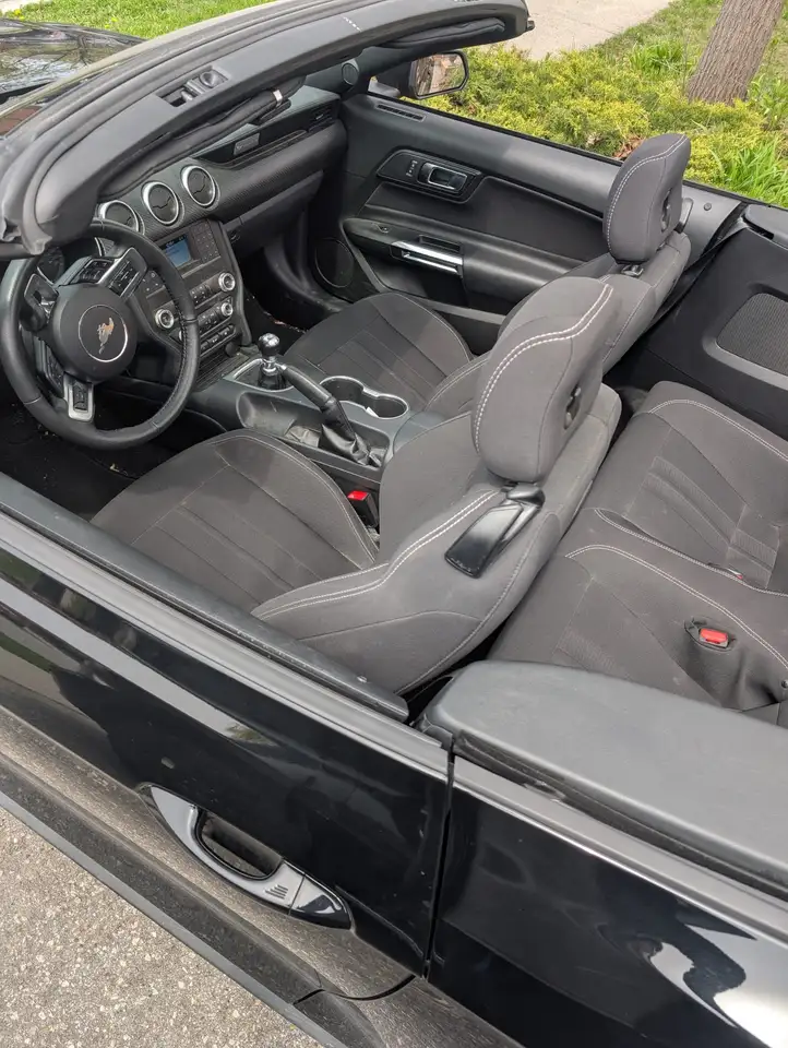 Ford Mustang - Image 6