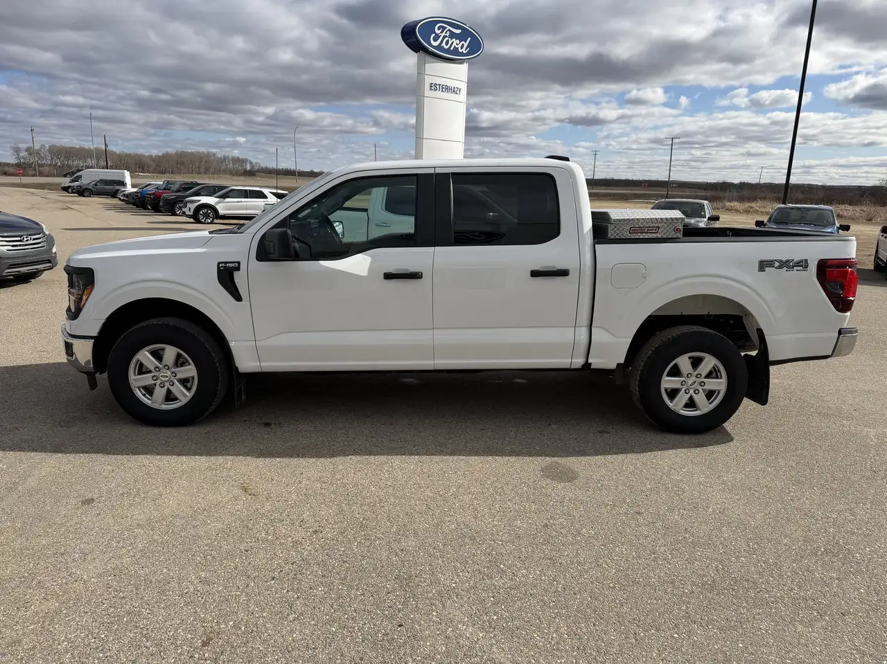 Ford F-150 - Image 4