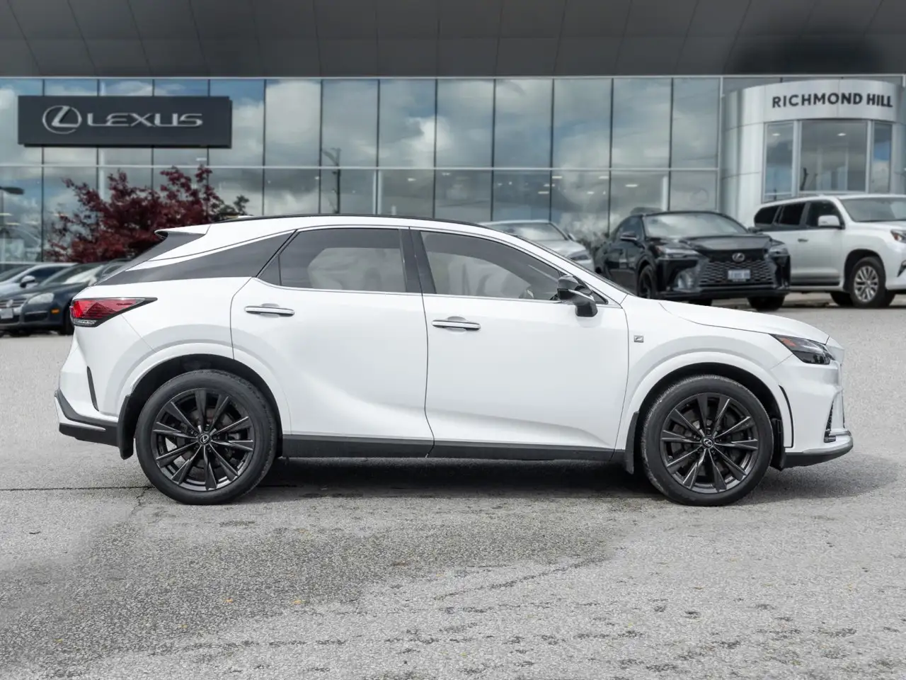 Lexus RX - Image 6