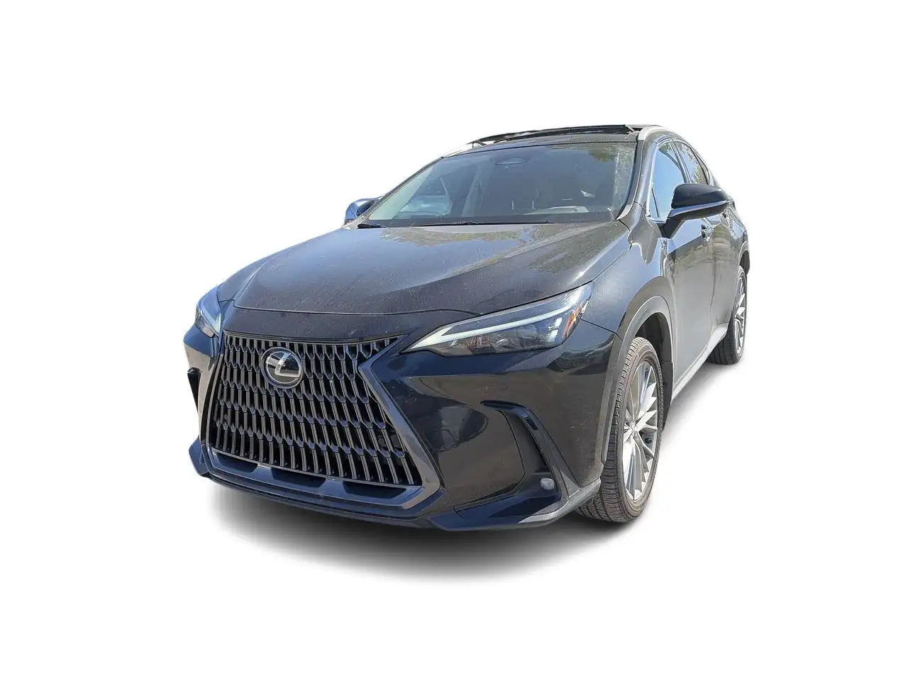 Lexus NX - Image 5