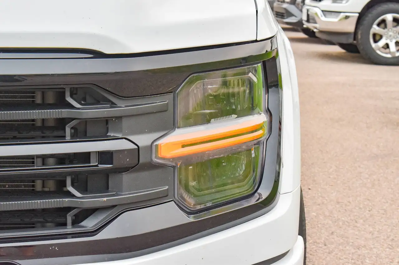 Ford F-150 - Image 3