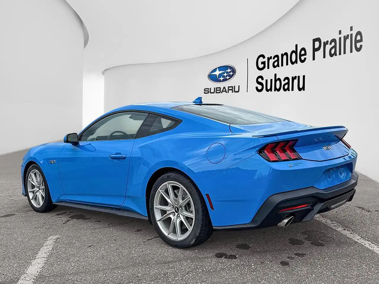 Ford Mustang - Image 3