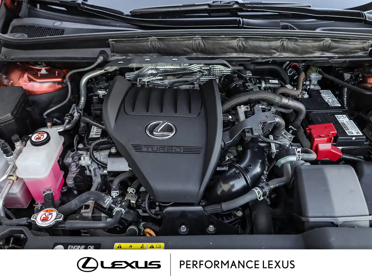 Lexus RX - Image 5
