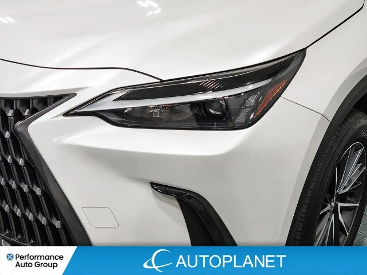 Lexus NX - Image 20