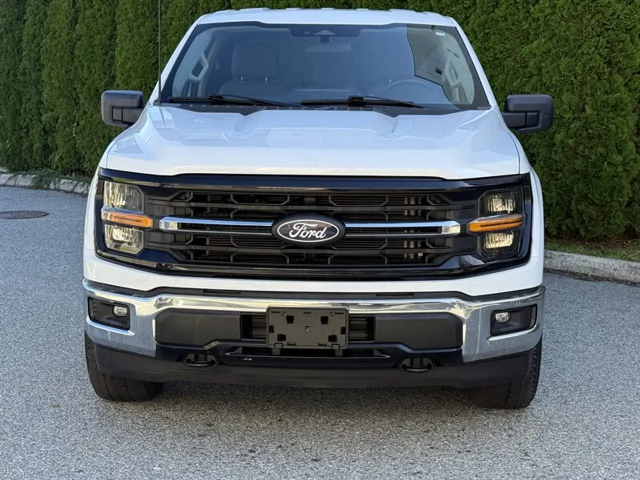Ford F-150 - Image 17