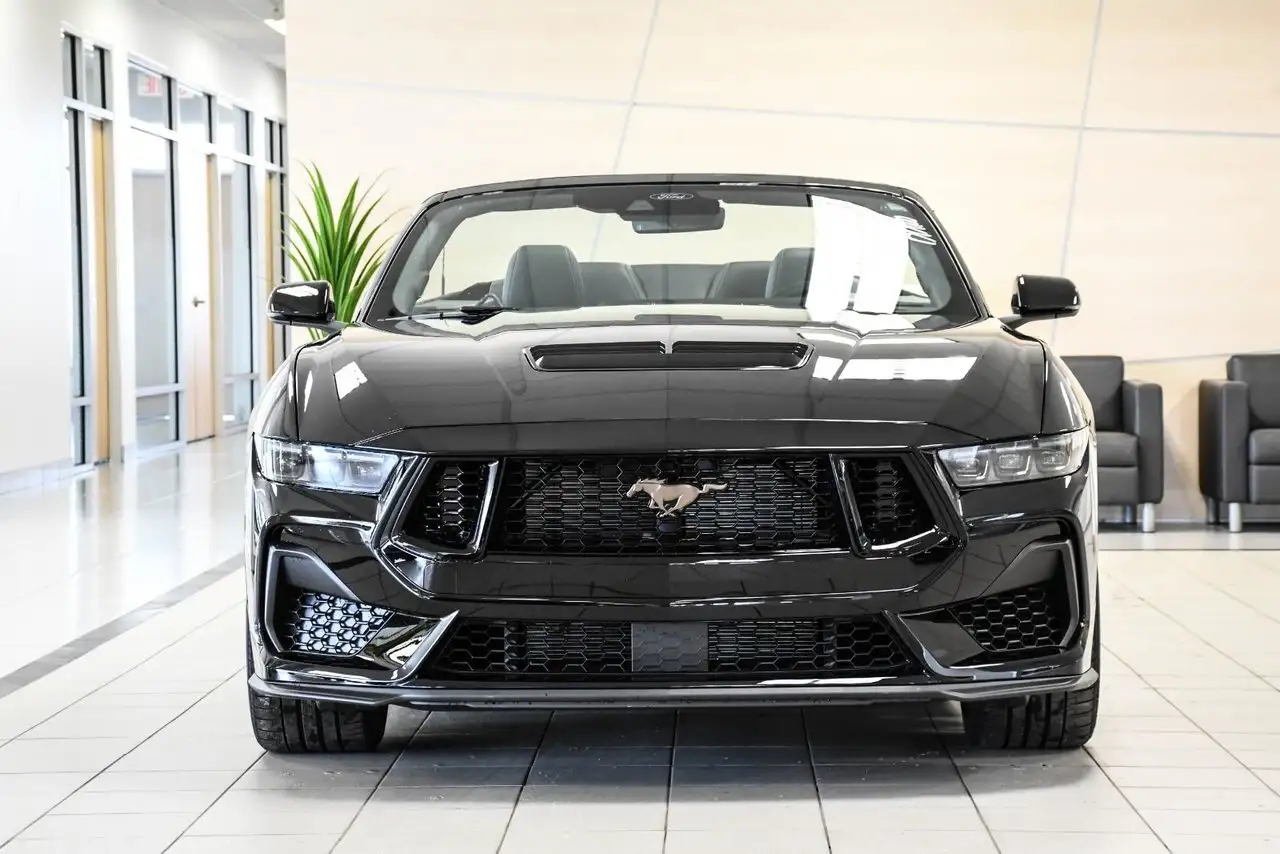 Ford Mustang - Image 2