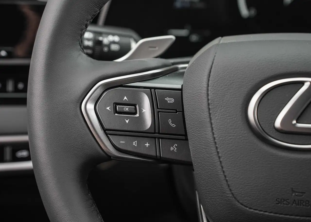 Lexus RX - Image 13