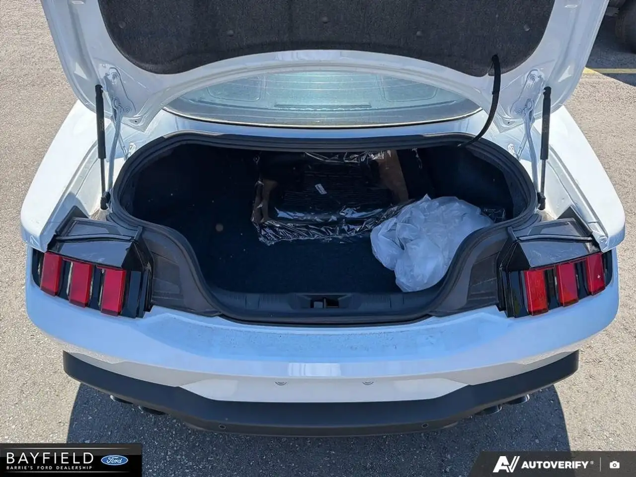 Ford Mustang - Image 12