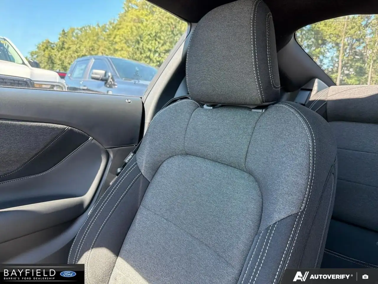Ford Mustang - Image 20