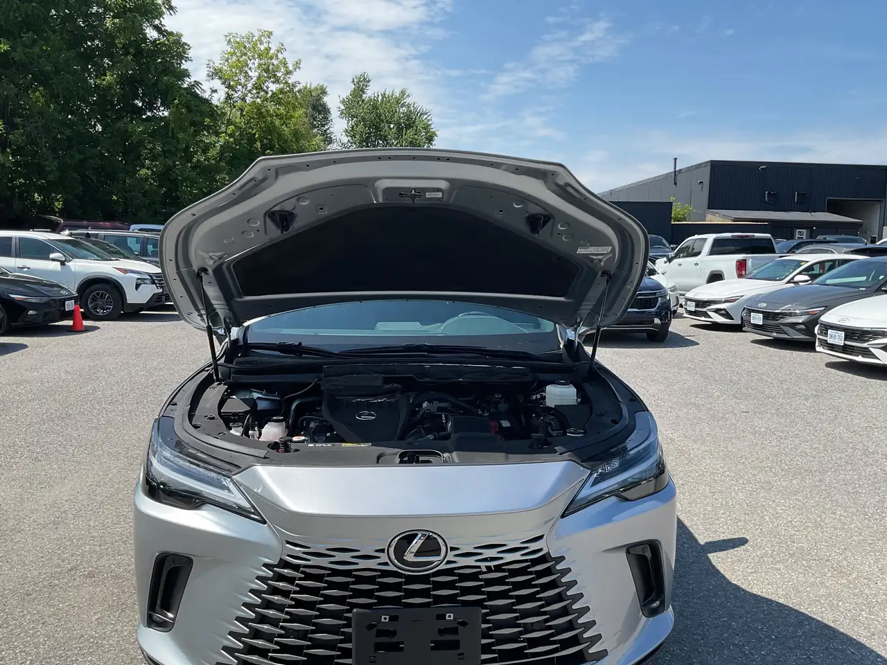 Lexus RX - Image 22