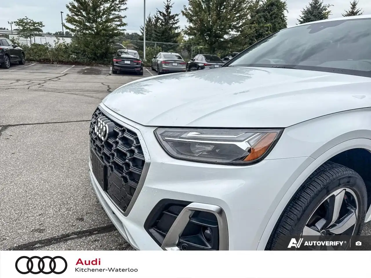 Audi Q5 - Image 7