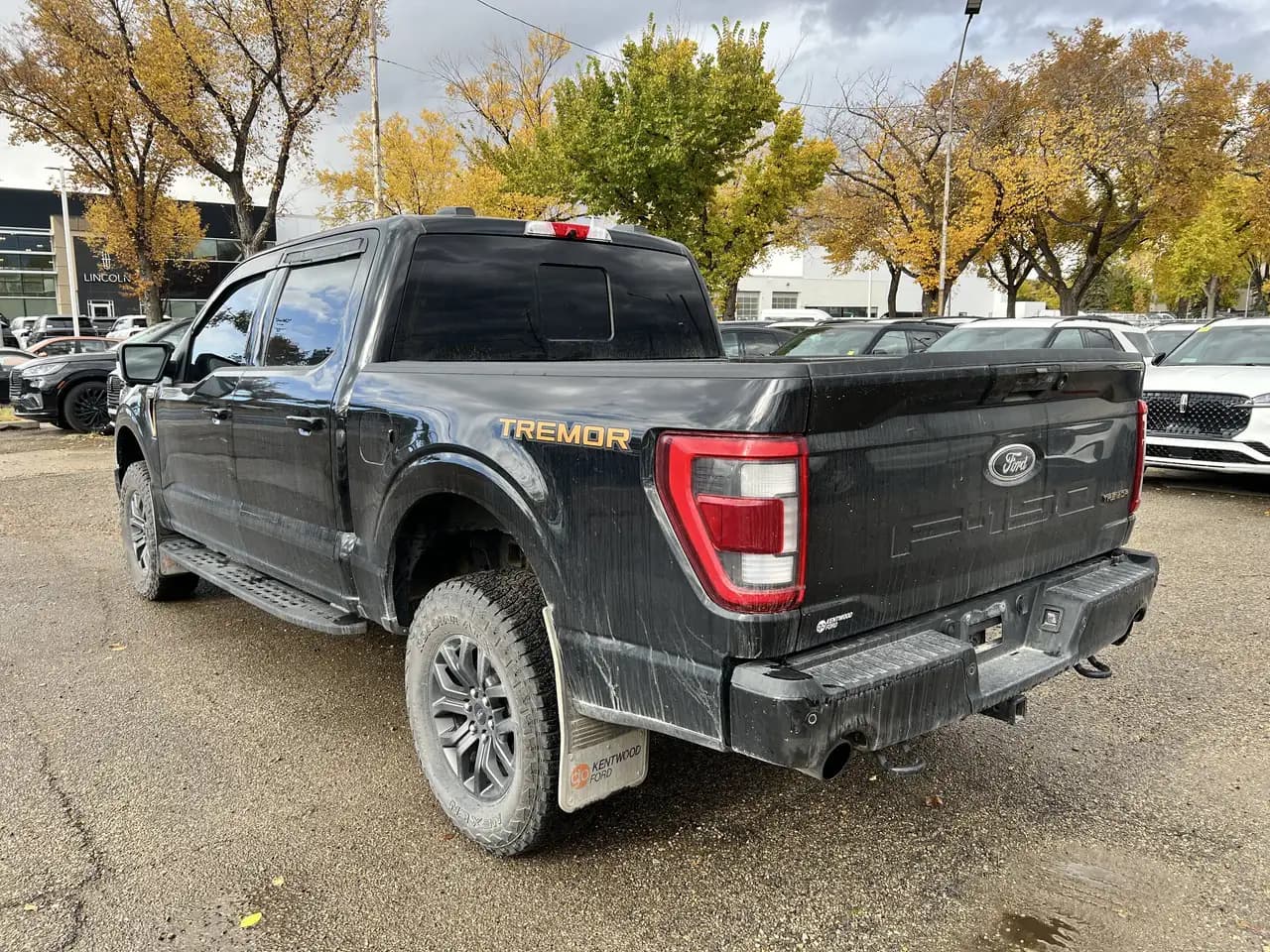 Ford F-150 - Image 6