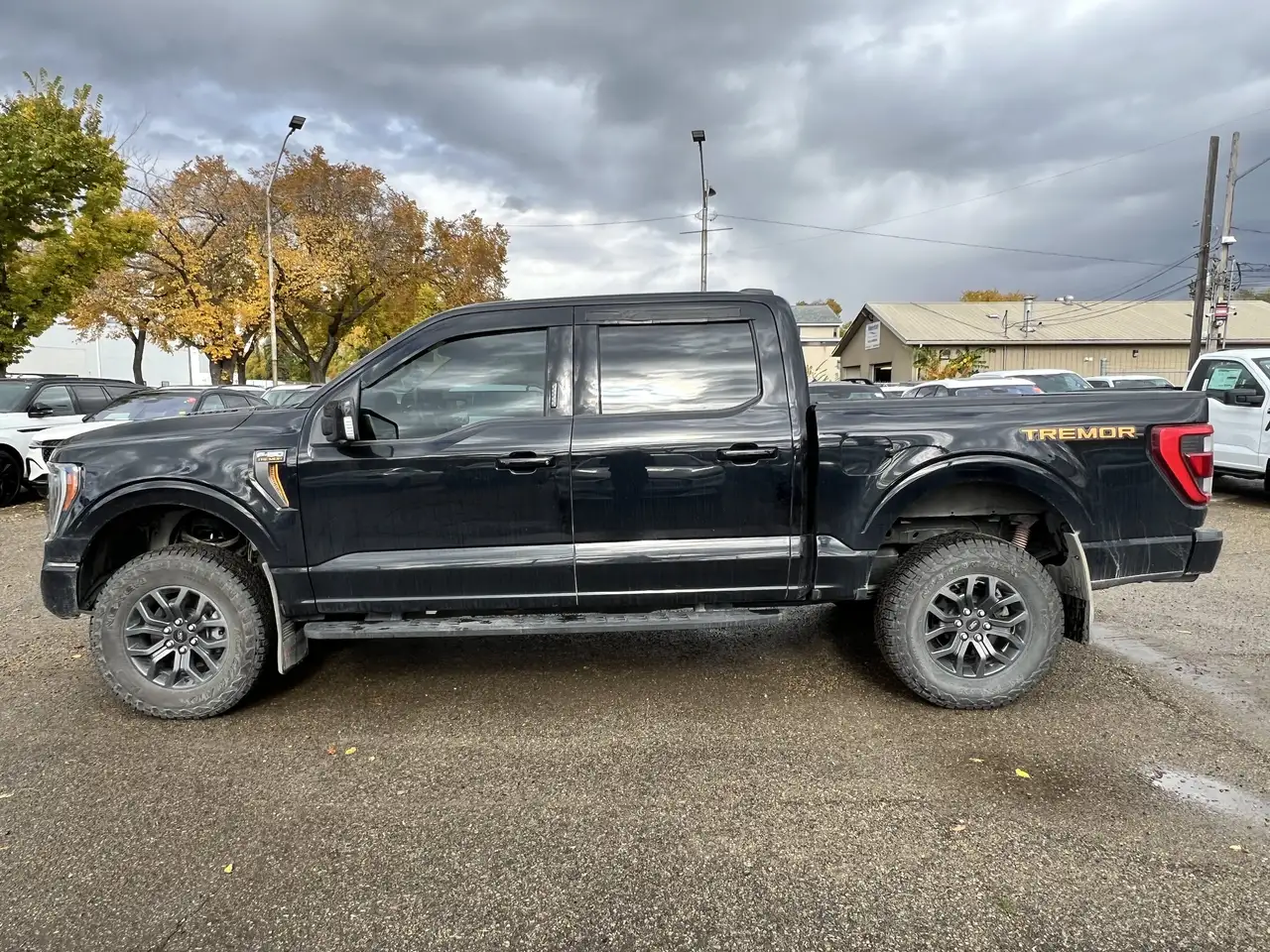 Ford F-150 - Image 5