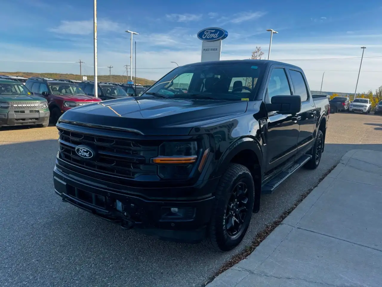 Ford F-150 - Image 3