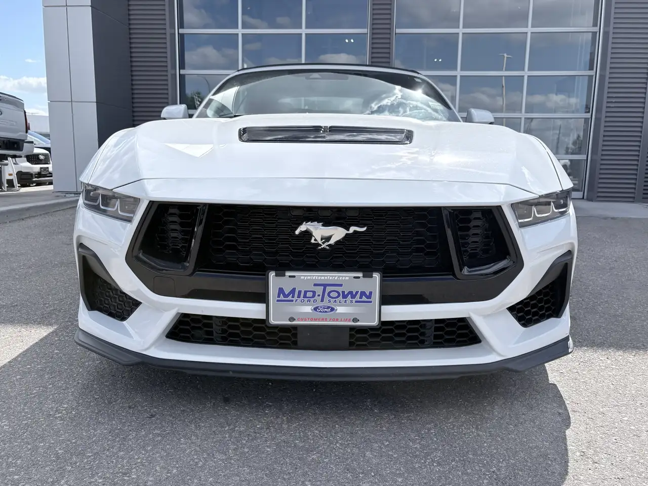 Ford Mustang - Image 4
