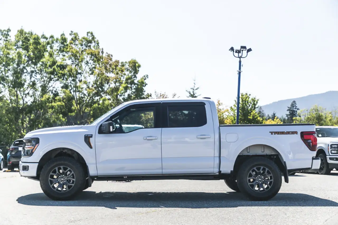 Ford F-150 - Image 8