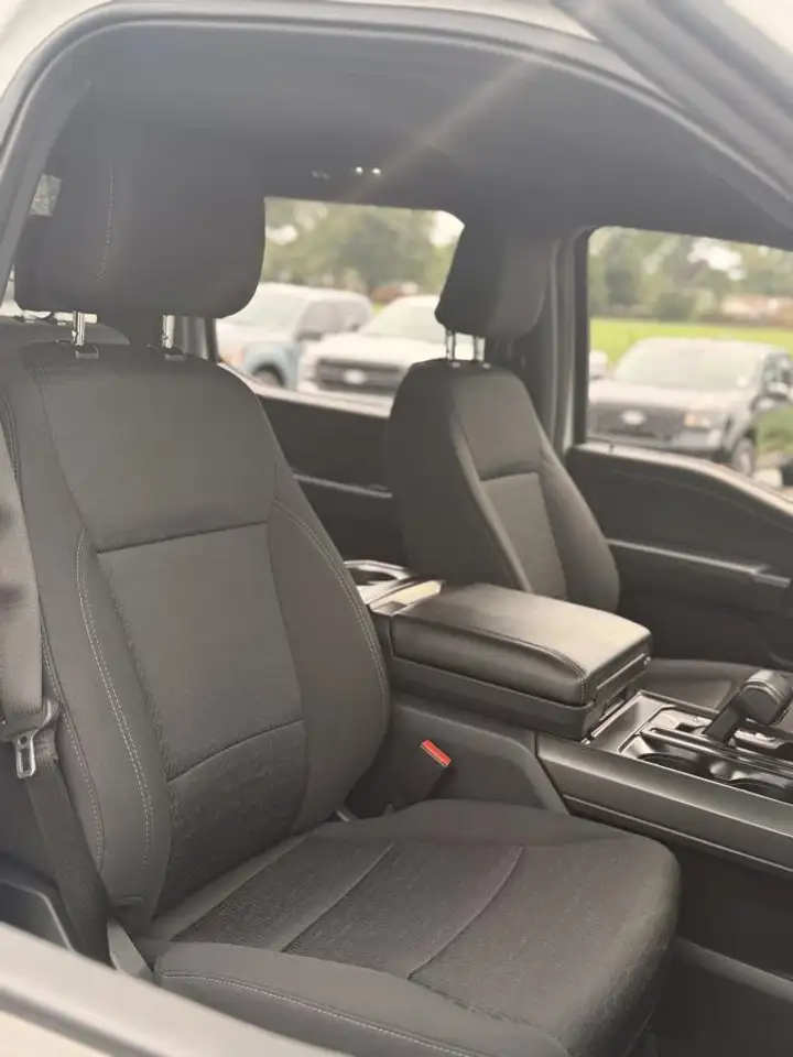 Ford F-150 - Image 11