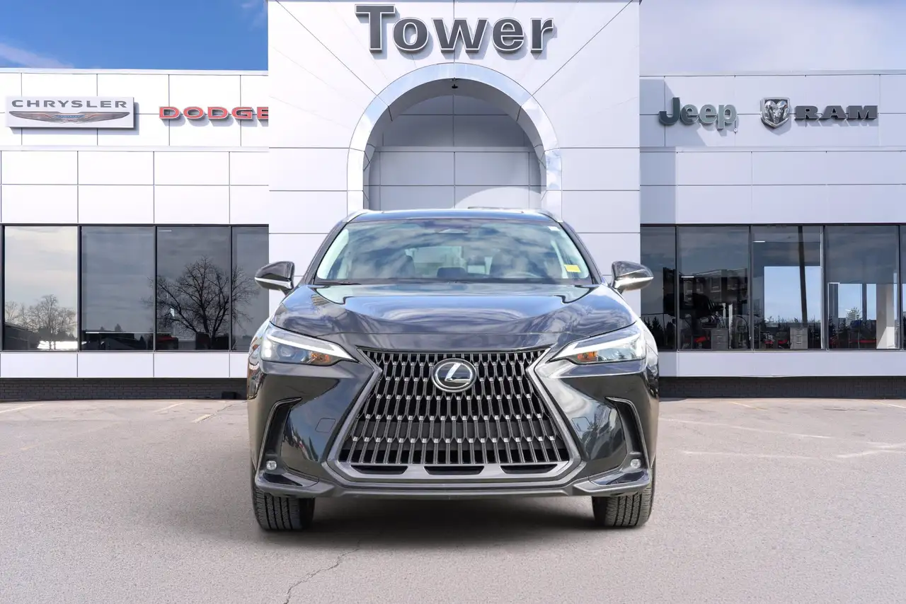 Lexus NX - Image 8