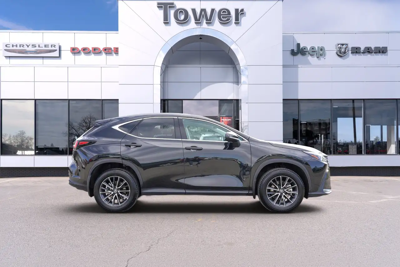Lexus NX - Image 6