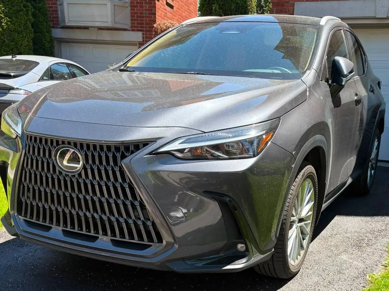 Lexus NX - Image 2