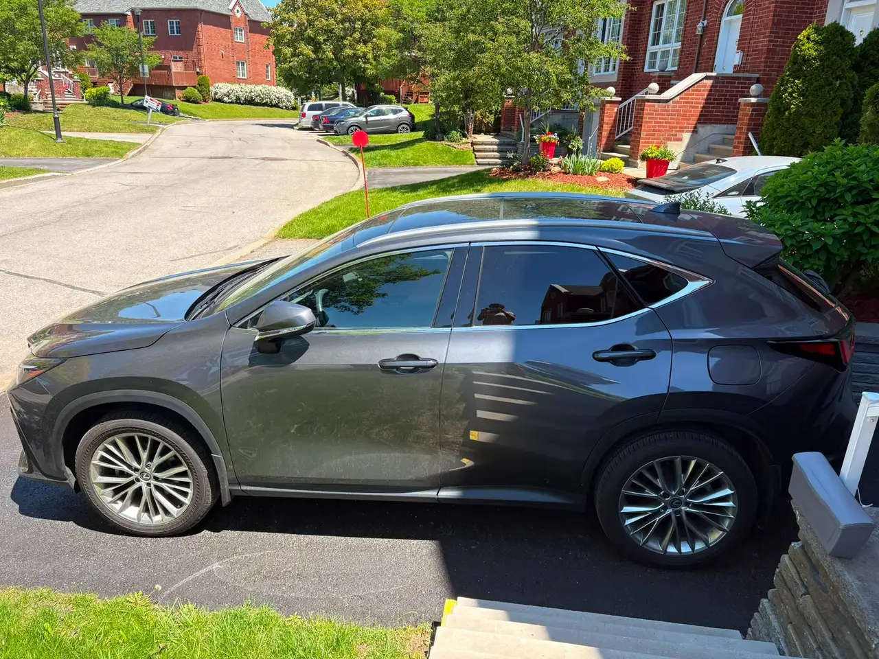 Lexus NX - Image 3