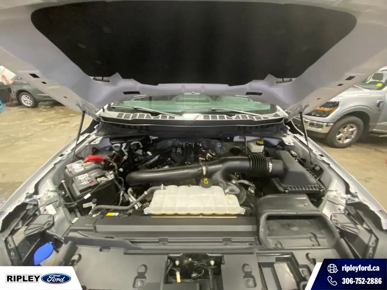 Ford F-150 - Image 11