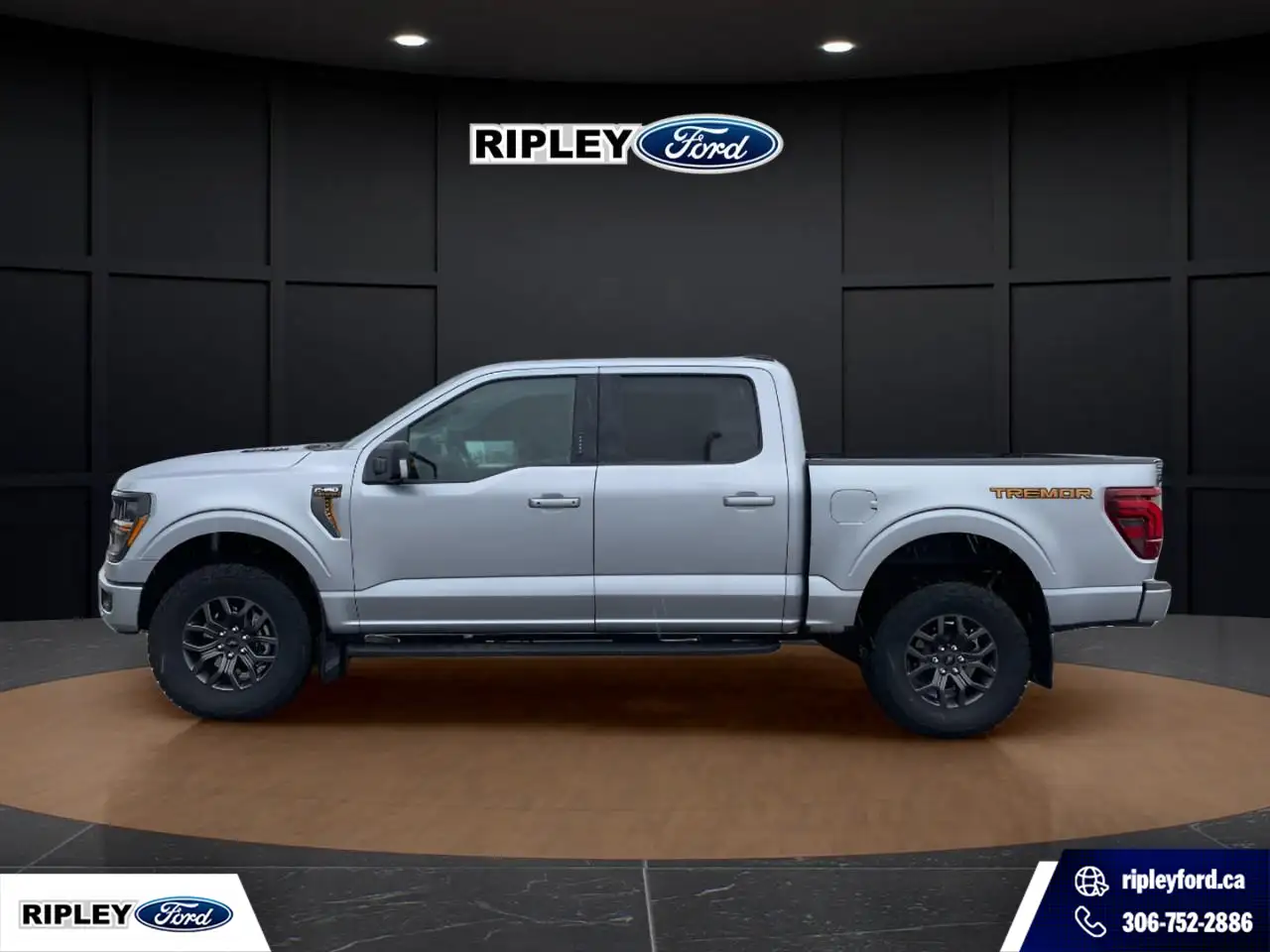 Ford F-150 - Image 9