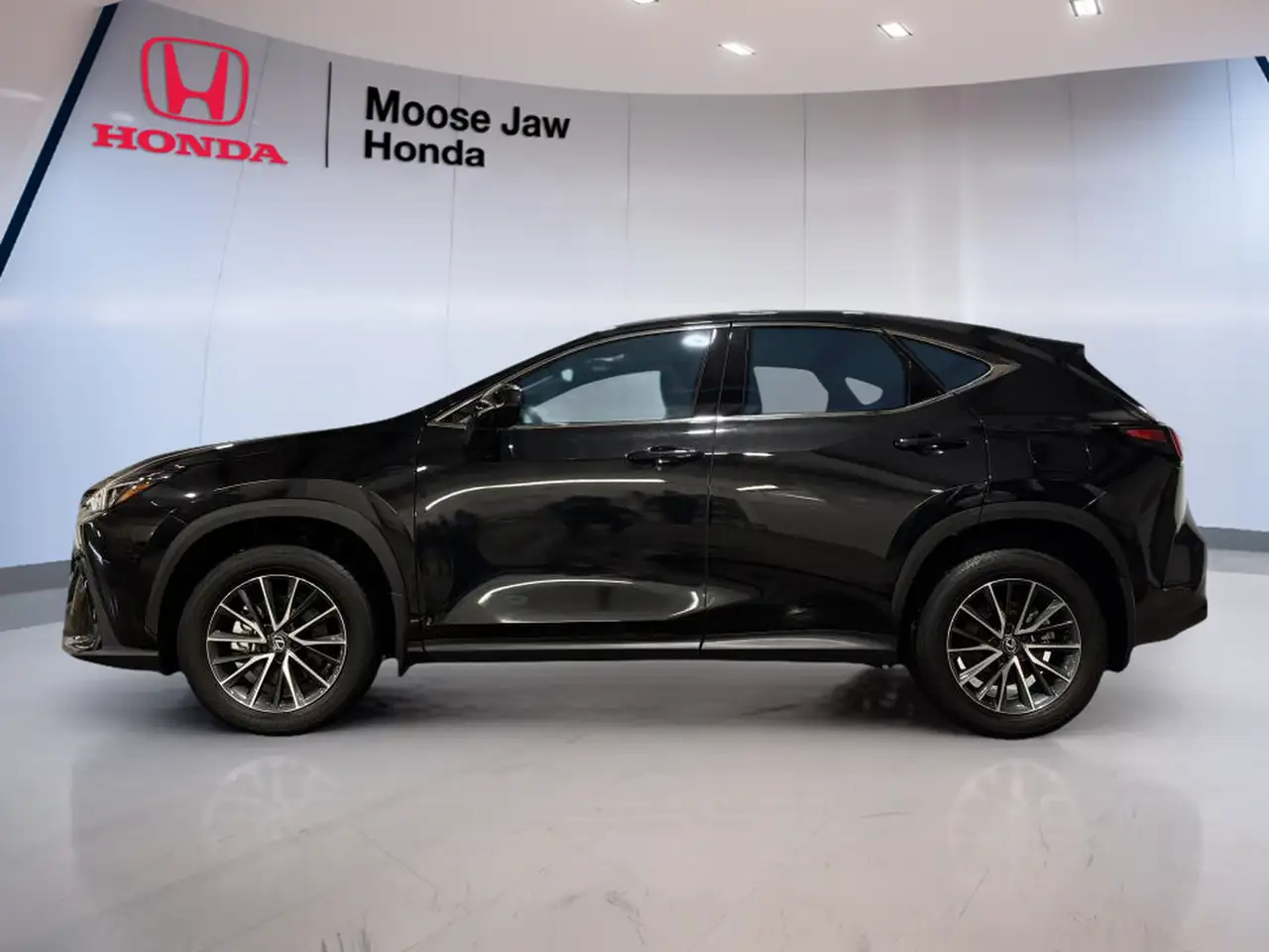 Lexus NX 350 - Image 3
