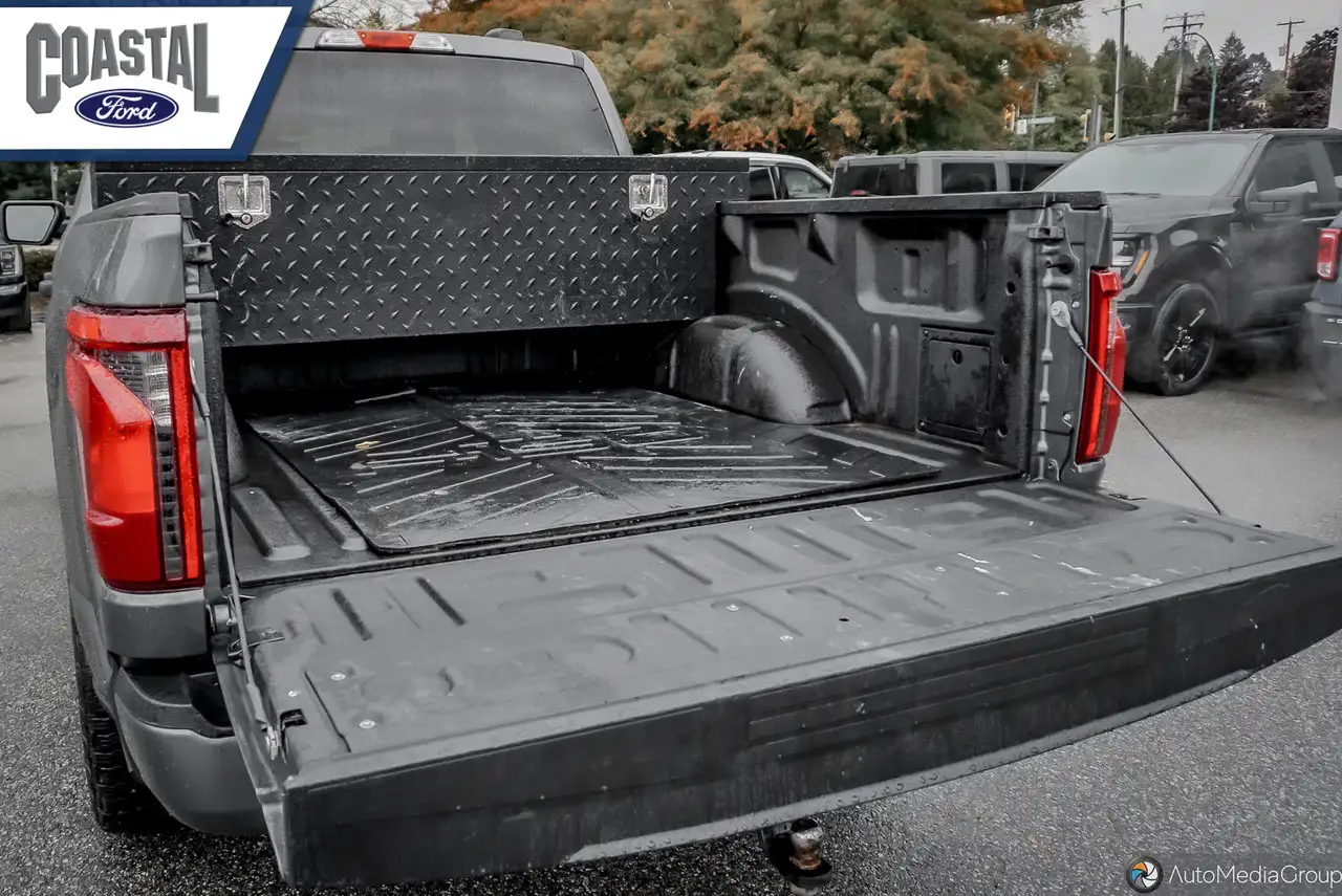 Ford F-150 - Image 22