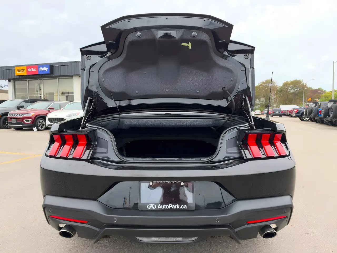 Ford Mustang - Image 37