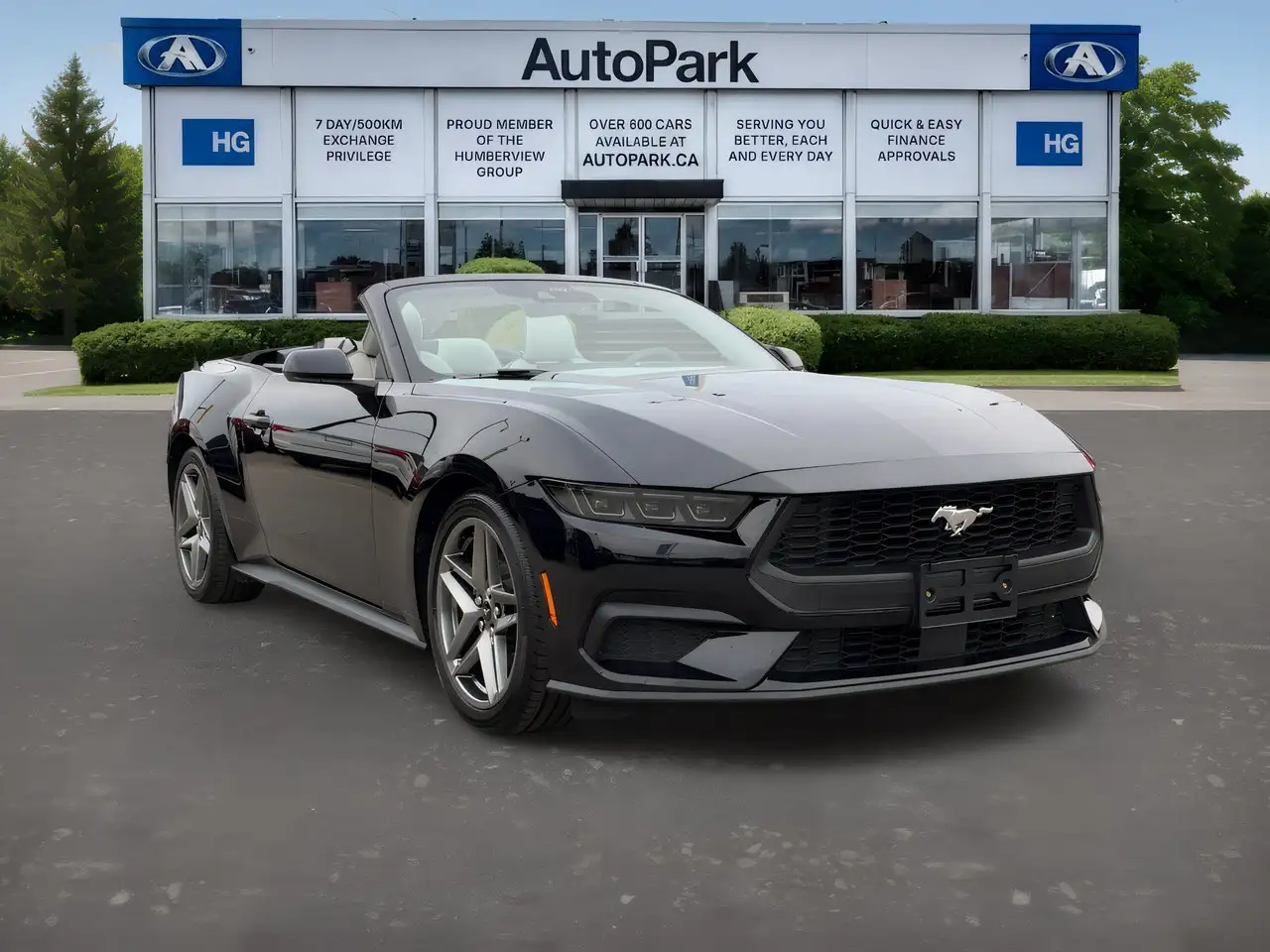 Ford Mustang - Image 7
