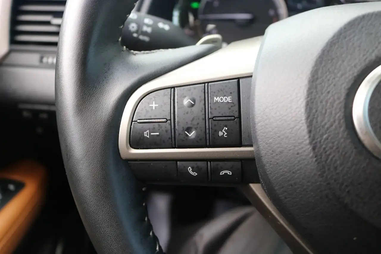 Lexus RX - Image 13