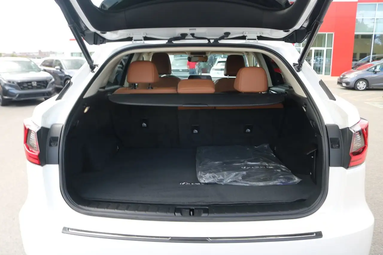 Lexus RX - Image 26