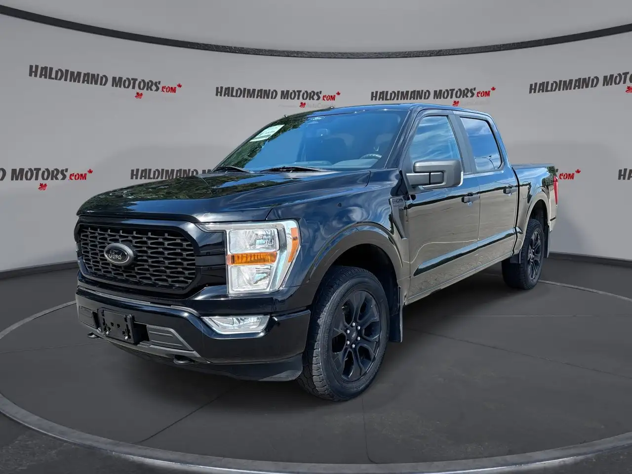 Ford F-150 - Image 1